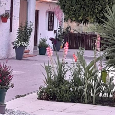 Casa Calado Vila Cadima Exterior foto