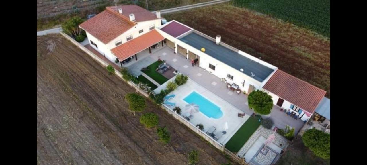 Casa Calado Vila Cadima Exterior foto